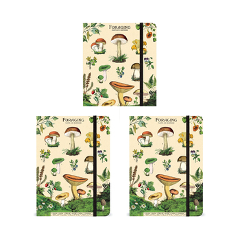 3PK Cavallini Notebook Writing Stationery Large - Foraging