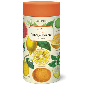 1000pc Calvallini & Co. Citrus 55x70cm Vintage Jigsaw Puzzle