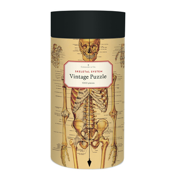 1000pc Cavallini Jigsaw Puzzle Skeletal System 55x70cm Educational Game 