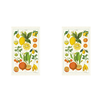 2PK Cavallini Cotton Kitchen Tea Towel 48x80cm - Citrus