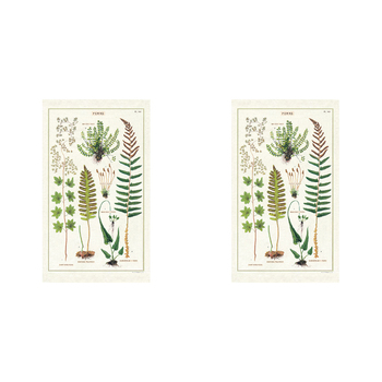 2PK Cavallini Cotton Kitchen Tea Towel 48x80cm - Ferns