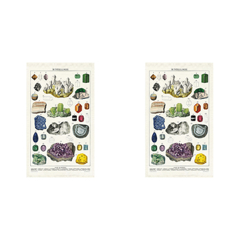 2PK Cavallini Cotton Kitchen Tea Towel 48x80cm - Mineralogy
