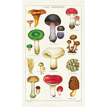 Cavallini Cotton Kitchen Tea Towel 48x80cm - Mushrooms