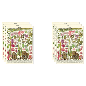 6PK Cavallini Paper Poster Prints/Gift Wrap 50x70cm - Algae