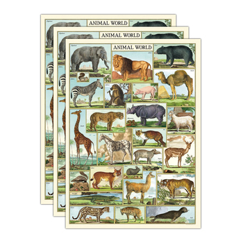 3PK Cavallini Paper Poster Prints/Gift Wrap 50x70cm - Animal World