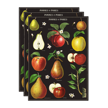 3PK Cavallini Paper Poster Prints/Gift Wrap 50x70cm - Apples & Pears