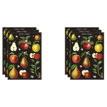 6PK Cavallini Paper Poster Prints/Gift Wrap 50x70cm - Apples & Pears