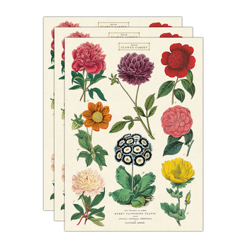 3PK Cavallini Paper Poster Prints/Gift Wrap 50x70cm - Botanica 2
