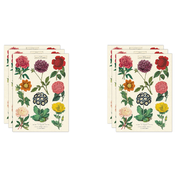 6PK Cavallini Paper Poster Prints/Gift Wrap 50x70cm - Botanica 2