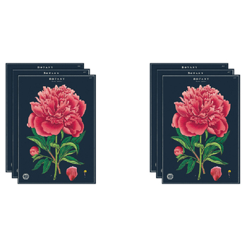 6PK Cavallini Paper Poster Prints/Gift Wrap 50x70cm - Botany Study