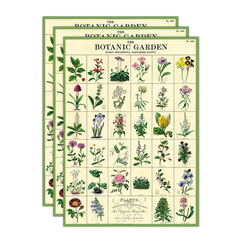 3PK Cavallini Paper Poster Prints/Gift Wrap 50x70cm - Botanic Garden