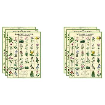 6PK Cavallini Paper Poster Prints/Gift Wrap 50x70cm - Botanic Garden