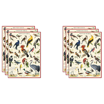 6PK Cavallini Paper Poster Prints/Gift Wrap 50x70cm - British Birds