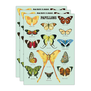 3PK Cavallini Paper Poster Prints/Gift Wrap 50x70cm - Papillions