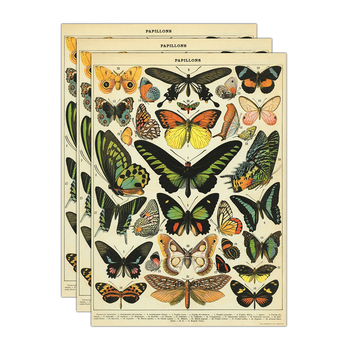 3PK Cavallini Paper Poster Prints/Gift Wrap 50x70cm - Butterflies