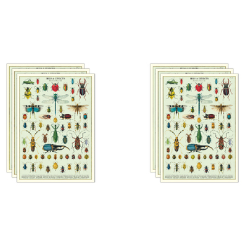 6PK Cavallini Paper Poster Prints/Gift Wrap 50x70cm - Bugs & Insects
