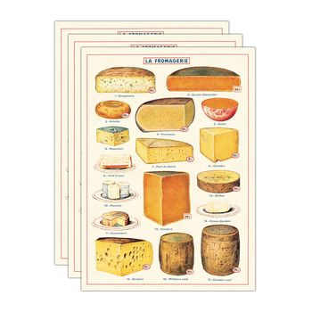 3PK Cavallini Paper Poster Prints/Gift Wrap 50x70cm - Cheese