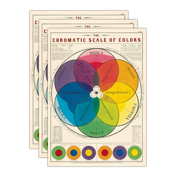 3PK Cavallini Paper Poster Prints/Gift Wrap 50x70cm - Chromatic Scale