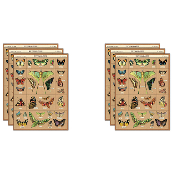 6PK Cavallini Paper Poster Prints/Gift Wrap 50x70cm - Entomologie