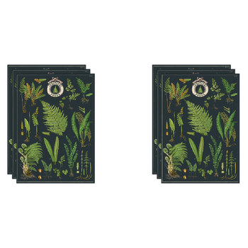 6PK Cavallini Paper Poster Prints/Gift Wrap 50x70cm - British Ferns