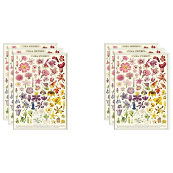 6PK Cavallini Paper Poster Prints/Gift Wrap 50x70cm - Flora Specimens