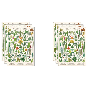 6PK Cavallini Paper Poster Prints/Gift Wrap 50x70cm - Folia Leaves