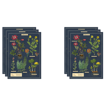 6PK Cavallini Paper Poster Prints/Gift Wrap 50x70cm - Herbarium