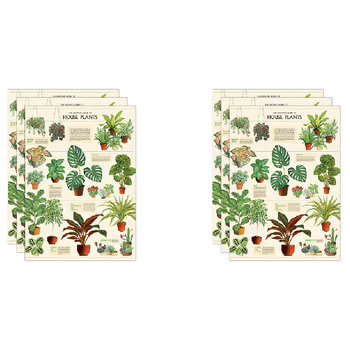 6PK Cavallini Paper Poster Prints/Gift Wrap 50x70cm - House Plants