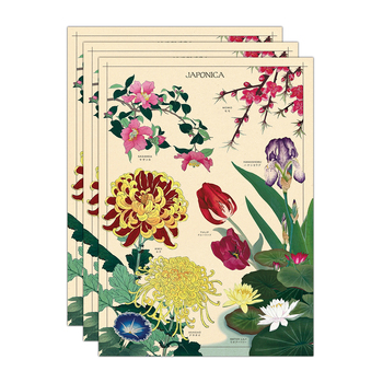 3PK Cavallini Paper Poster Prints/Gift Wrap 50x70cm - Japonica