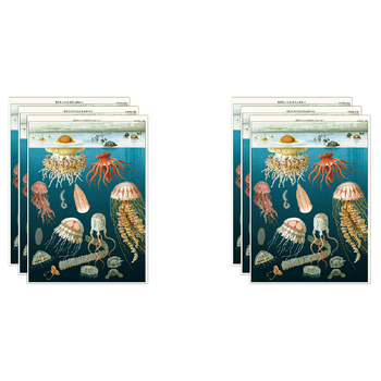 6PK Cavallini Paper Poster Prints/Gift Wrap 50x70cm - Jellyfish