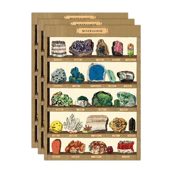3PK Cavallini Paper Poster Prints/Gift Wrap 50x70cm - Mineralogie 2