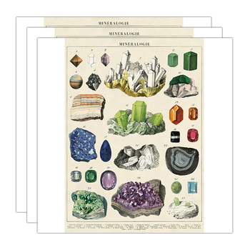 3PK Cavallini Paper Poster Prints/Gift Wrap 50x70cm - Mineralogie