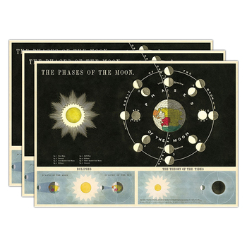 3PK Cavallini Paper Poster Prints/Gift Wrap 70x50cm - Phases Of The Moon