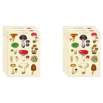 6PK Cavallini Paper Poster Prints/Gift Wrap 50x70cm - Mushrooms 2