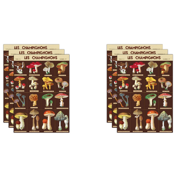 6PK Cavallini Paper Poster Prints/Gift Wrap 50x70cm - Les Champignons