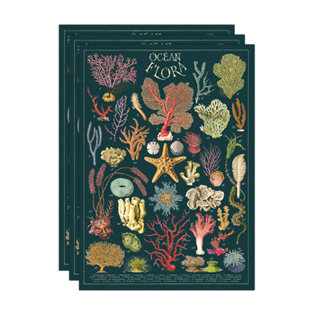 3PK Cavallini Paper Poster Prints/Gift Wrap 50x70cm - Ocean Flora