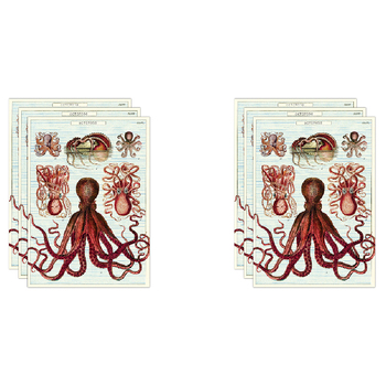6PK Cavallini Paper Poster Prints/Gift Wrap 50x70cm - Octopods