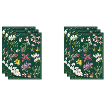 6PK Cavallini Paper Poster Prints/Gift Wrap 50x70cm - Orchid