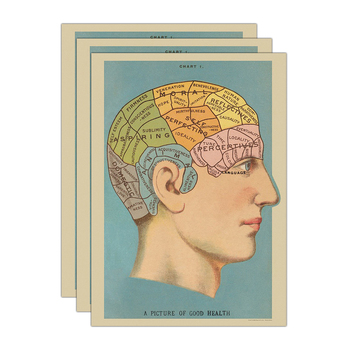 3PK Cavallini Paper Poster Prints/Gift Wrap 50x70cm - Phrenology