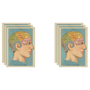 6PK Cavallini Paper Poster Prints/Gift Wrap 50x70cm - Phrenology
