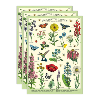 3PK Cavallini Paper Poster Prints/Gift Wrap 50x70cm - Pollinator Garden