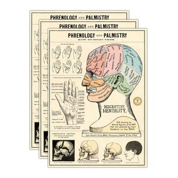 3PK Cavallini Paper Poster Prints/Gift Wrap 50x70cm - Phrenology & Palmistry