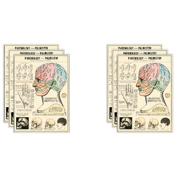 6PK Cavallini Paper Poster Prints/Gift Wrap 50x70cm - Phrenology & Palmistry