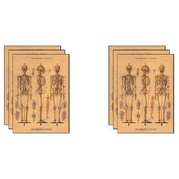 6PK Cavallini Paper Poster Prints/Gift Wrap 50x70cm - Skeleton