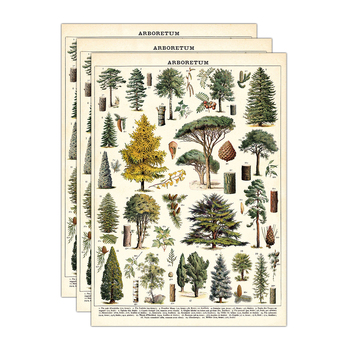3PK Cavallini Paper Poster Prints/Gift Wrap 50x70cm - Arboretum