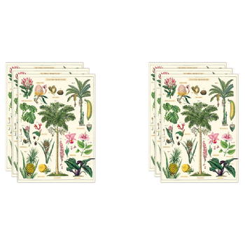 6PK Cavallini Paper Poster Prints/Gift Wrap 50x70cm - Tropical Plants