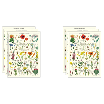 6PK Cavallini Paper Poster Prints/Gift Wrap 50x70cm - Wildflowers