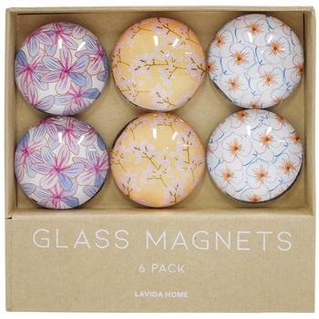 6pc LVD Spring Glass 11.5cm Fridge Magnet Home Decor Round Set
