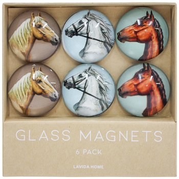 6pc LVD Horse Glass 11.5cm Fridge Magnet Home Decor Round Set