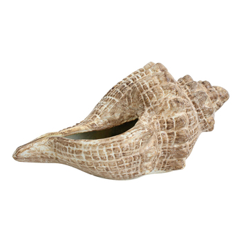 LVD Decorative Shell Conoch Home Room Decor - Rustic Brown